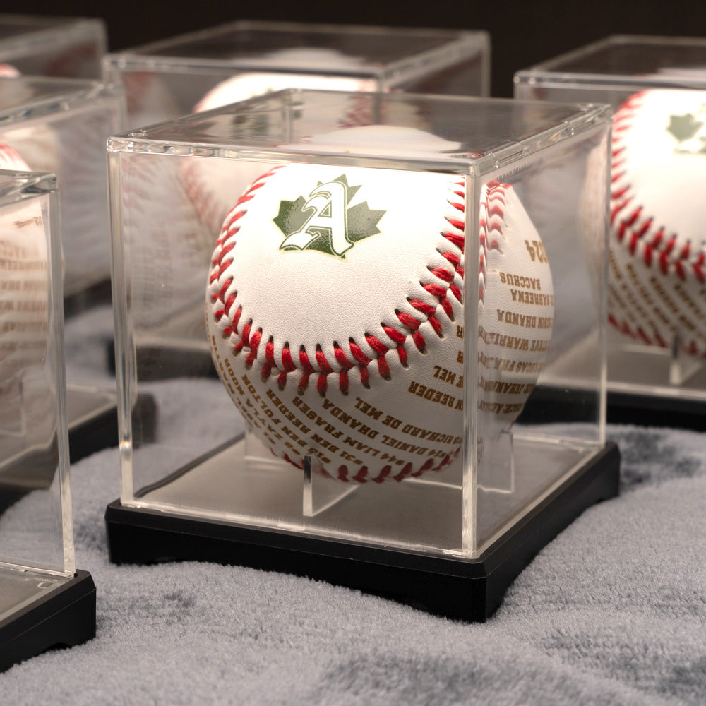 Personalized case for baseballs