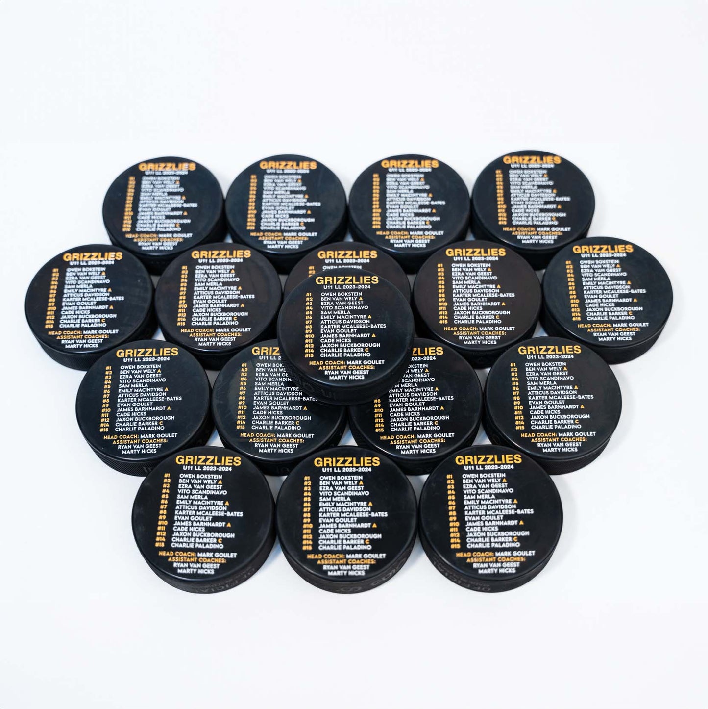 Bulk hockey pucks with printed hockey team roster