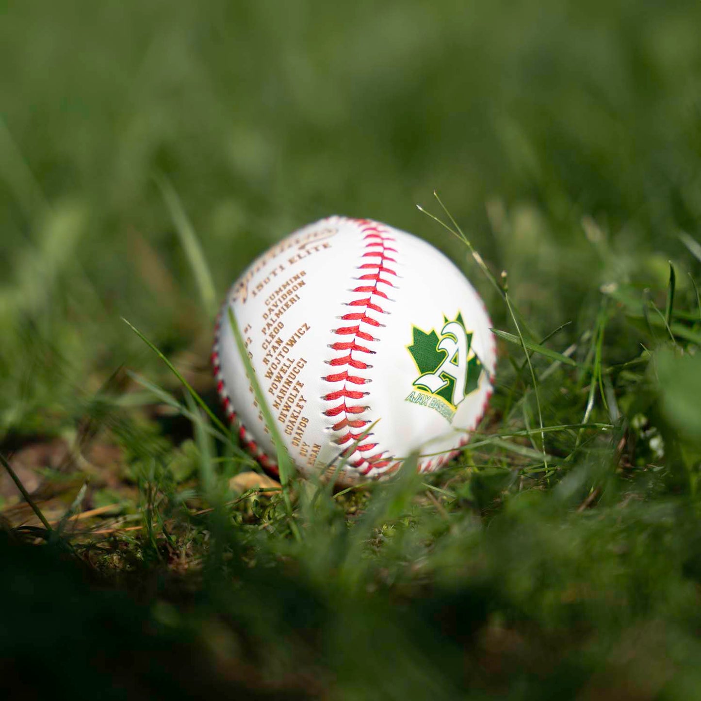 Personalized baseballs Team Roster