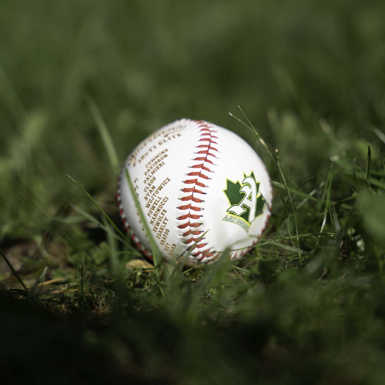 Personalized baseballs Team Roster