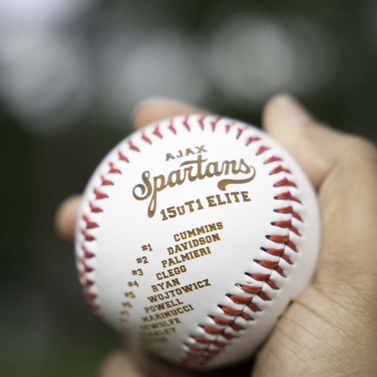 Engraved team roaster on Baseballs