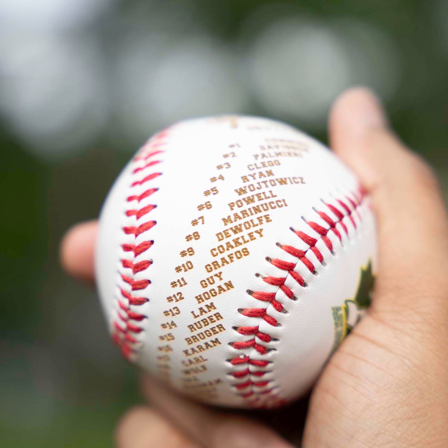 team roster and logo engraved on baseballs