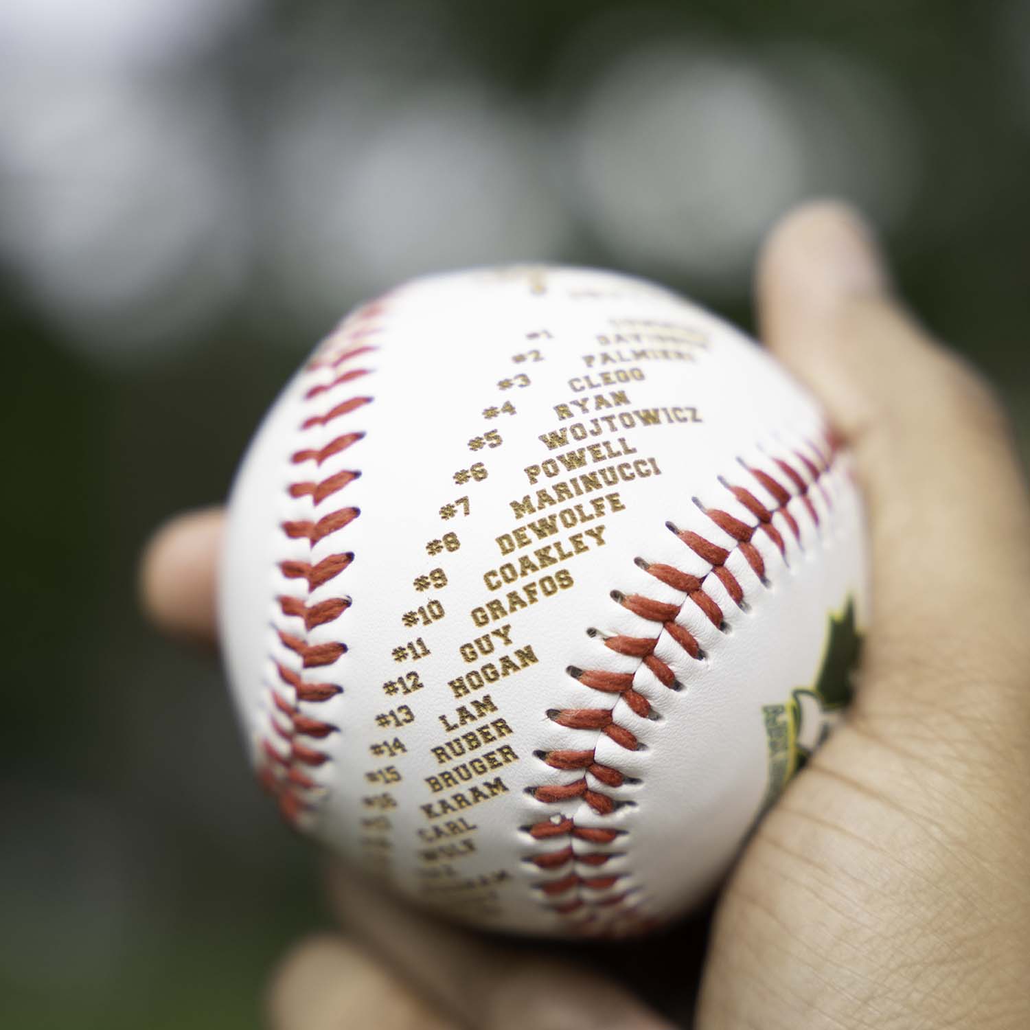 team roster and logo engraved on baseballs