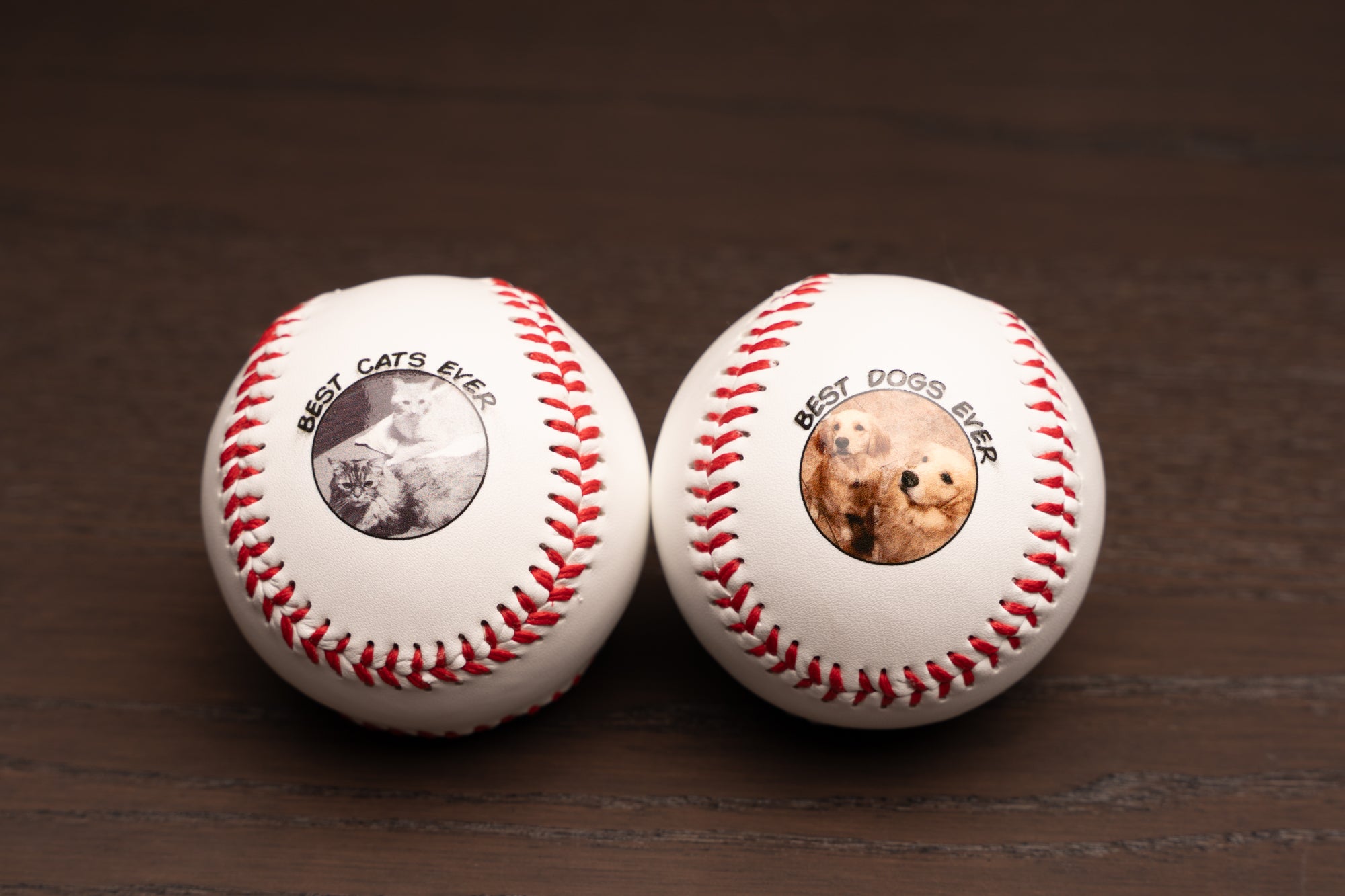 personalized baseballs with pet's photos