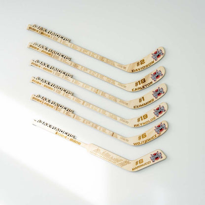 best mini hockey sticks with team player name and number