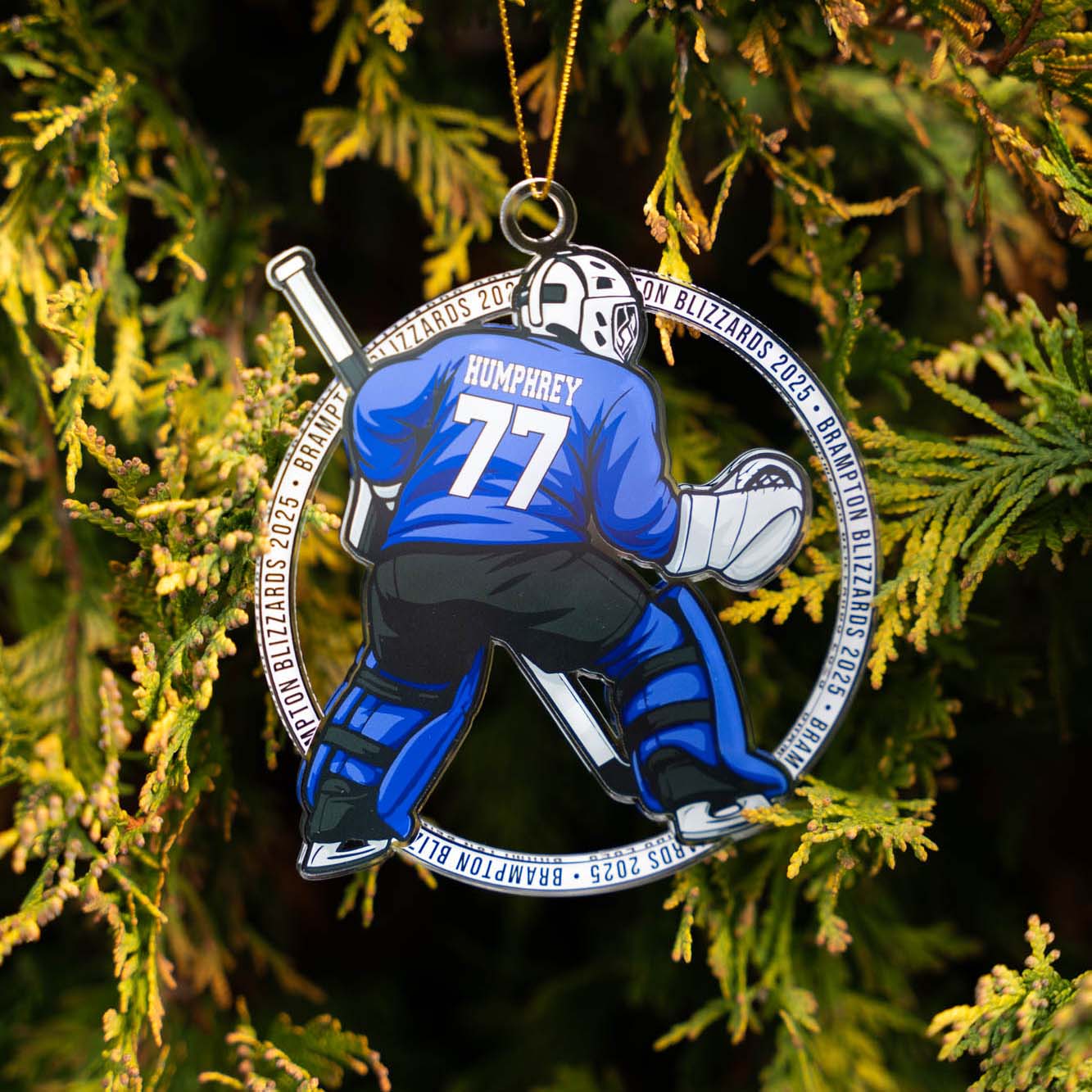 Hockey-themed ornament with player details on a Christmas tree.